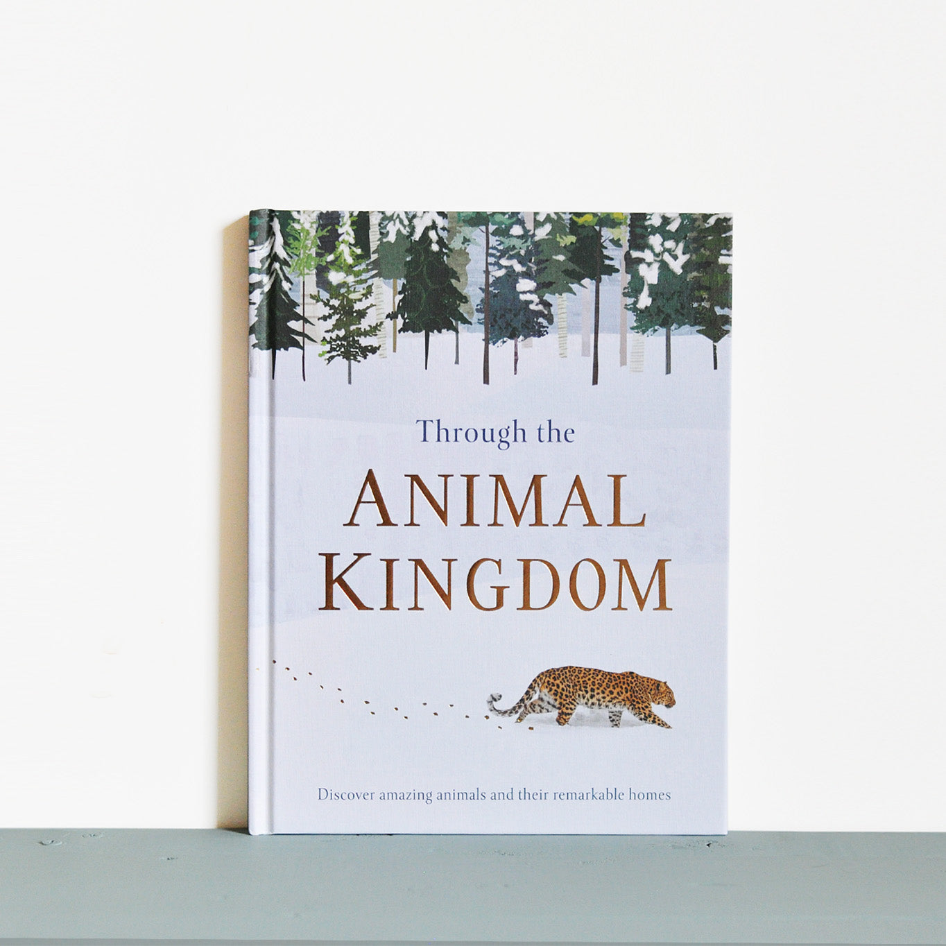 古書　動物に霊界はあるか エリオット・オドネル著 動物に霊界はあるか: 世界動物怪異実例の研究 | エリオット
