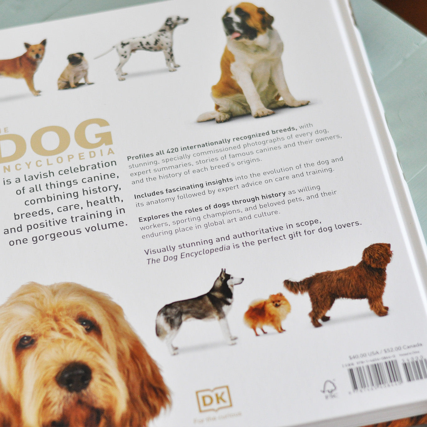 趣味・スポーツ・実用 The new Encyclopedia of the DOG 洋書 THE DOG ENCYCLOPEDIA THE DEFINITIVE VISUAL GUIDE 動物