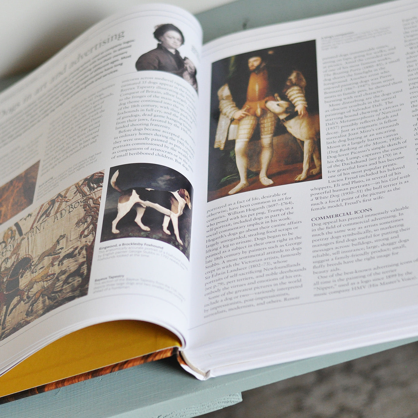 洋書 THE DOG ENCYCLOPEDIA THE DEFINITIVE VISUAL GUIDE 動物/犬